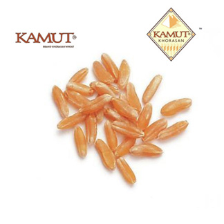 KAMUT® Brand Khorasan Wheat
